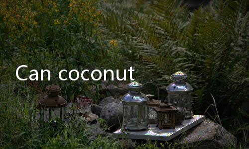 【Best Indian Rummy Cash Games】Can coconut meat be eaten if it has been stored in the refrigerator for 5 days?